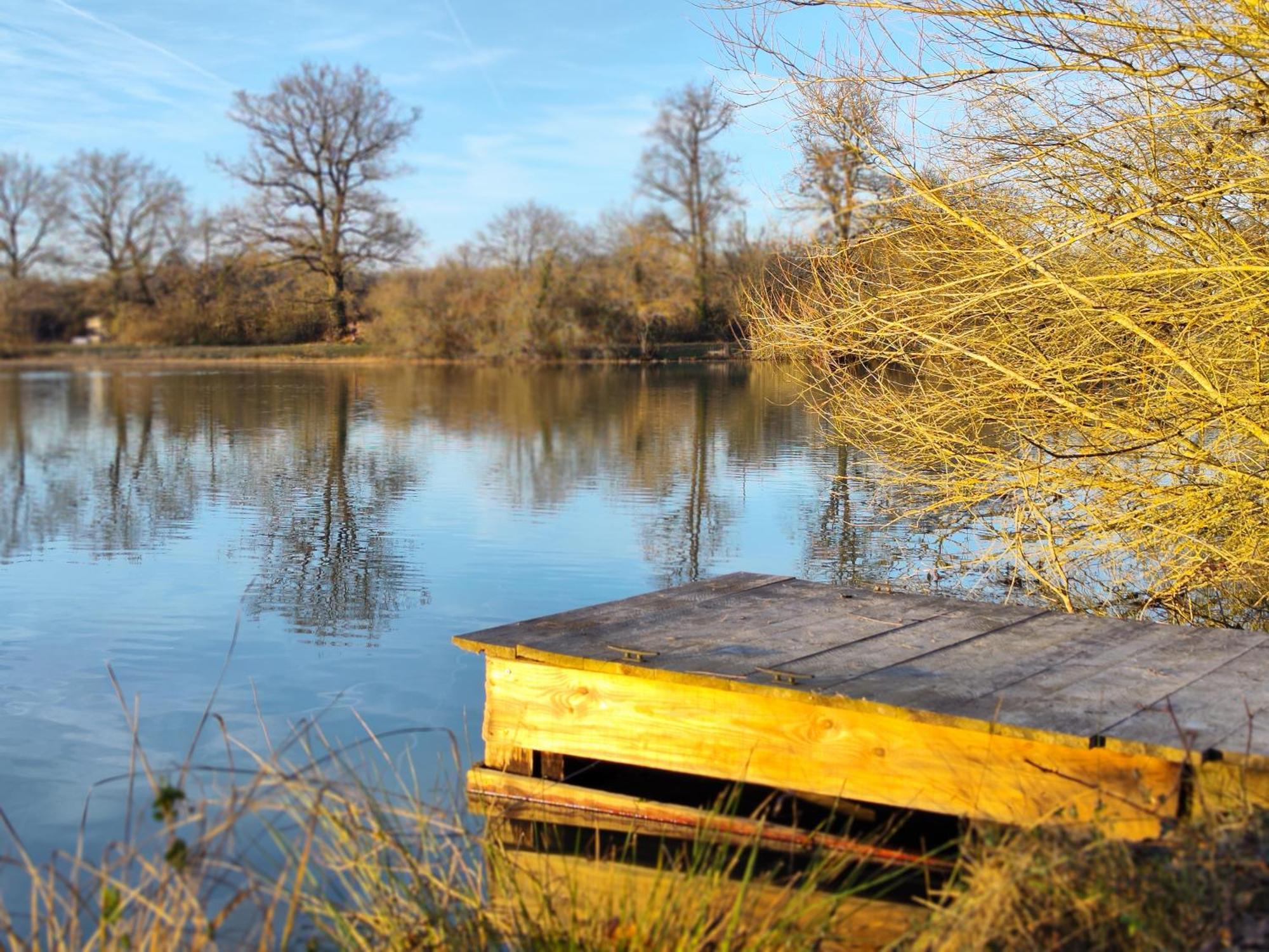 Domaine De La Roseliere • Nature • Brenne Rosnay  Exterior foto