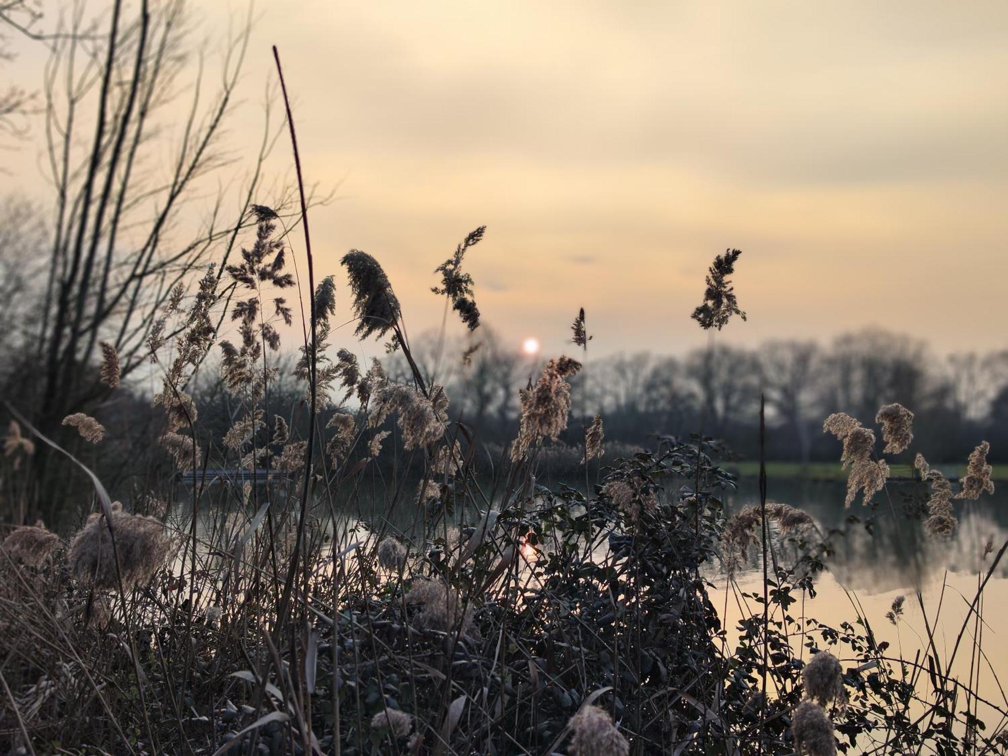 Domaine De La Roseliere • Nature • Brenne Rosnay  Exterior foto