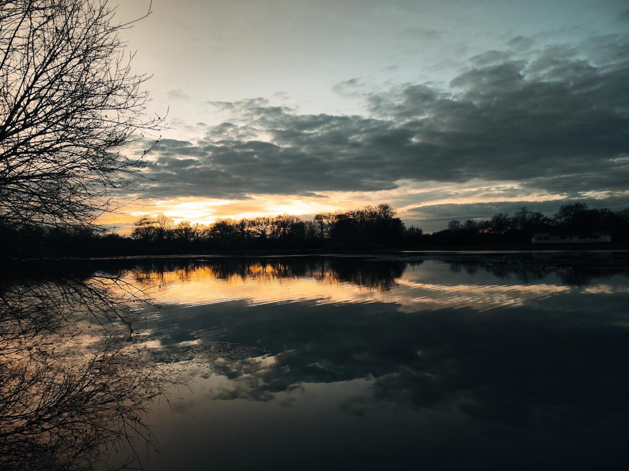 Domaine De La Roseliere • Nature • Brenne Rosnay  Exterior foto